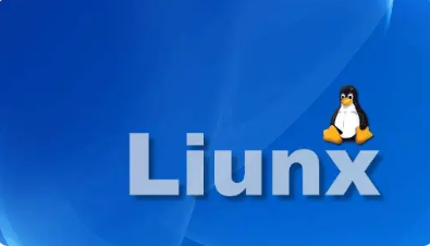 Linux磁盘挂载