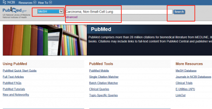 文献查全方法之PubMed篇
